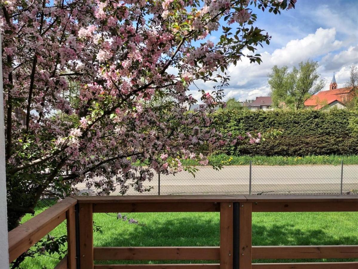 Baza Lipusz Villa Exteriör bild